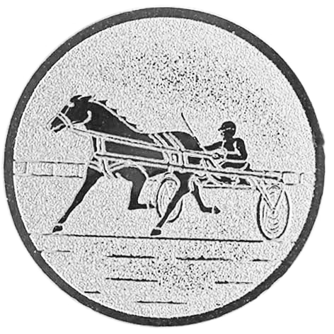 De Schieter, medailles