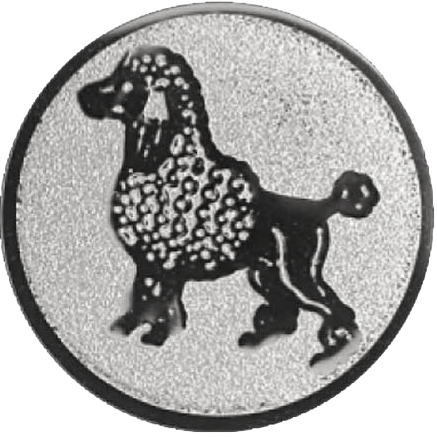 De Schieter, medailles