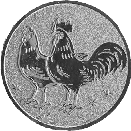 De Schieter, medailles